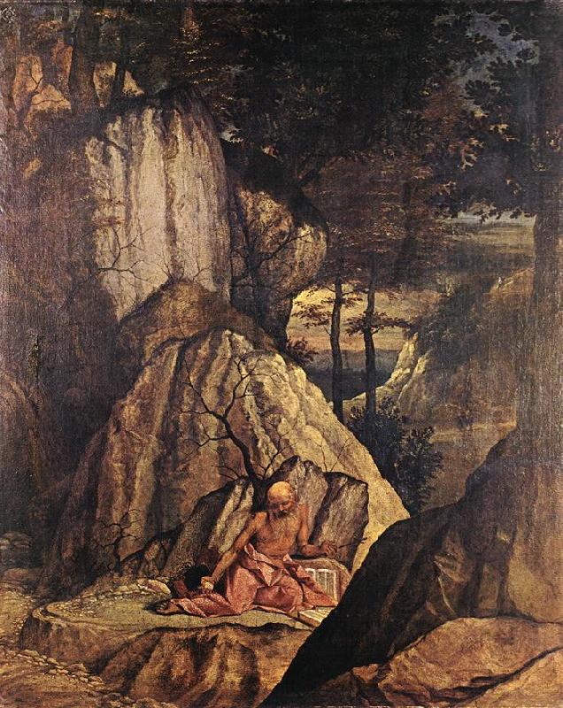 Penitent St Jerome sg, LOTTO, Lorenzo